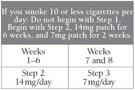 Meijer Nicotine Transdermal System Step 3 Patch Extended