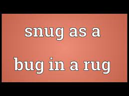 snug as a bug in a rug meaning you