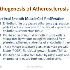Pathophysiologyofatherosclerosis Atherosclerosis
