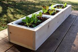 Diy Planter Box How To Build Them
