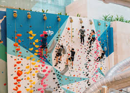 Rock Climbing And Bouldering Gyms For