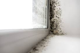 how to remove mildew or mold on gl