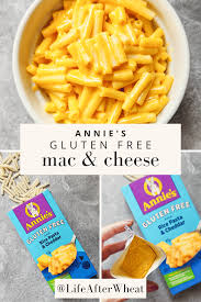 gluten free mac and cheese honest