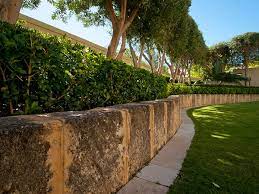 Garden Retaining Wall Landscape
