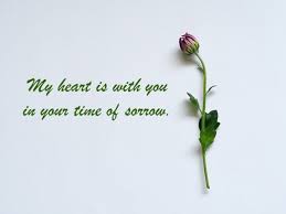 Image result for in sympathy word pic