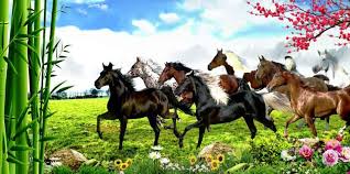 7 horse in garden wallpaper