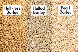 how to cook pearl barley from the
