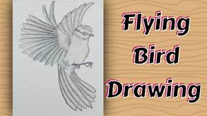 how to draw a realistic flying bird