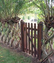 What Are Living Fences And How Do You
