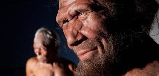 The Neanderthal in us | Natural History Museum