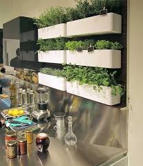 Indoor Herb Garden How To Create A