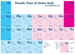 Amino Acids Chart Google Search Biochemistry Notes