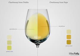 Savory Or Fruity Understanding Types Of White Wine By Color