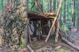 construire une cabane apprendre à