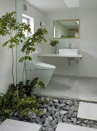 Indoor Plants Bathroom