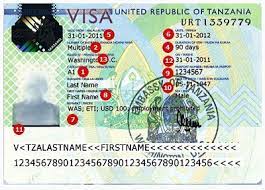 visa application e visa