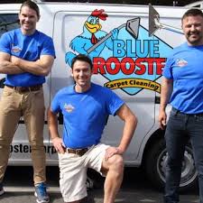 Blue Rooster Carpet Cleaning 103