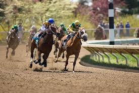 keeneland s 75th september yearling thoroughbred begins monday september 10th