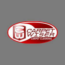 carpet wiser carpet cleaning elgin