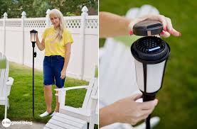 These Mosquito Torches Saved My Backyard