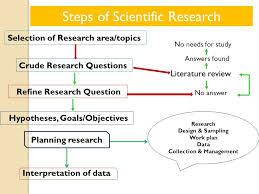 Introduction   Major steps in conducting scientific research  Hoogenbroom  and Manske            SlideShare