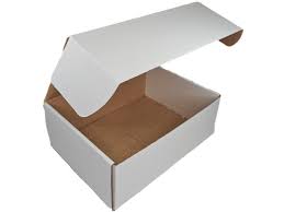 box 300x225x113 hinged lid