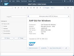 sap gui for windows 8 00 64bit version