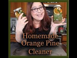 homemade cleaning s