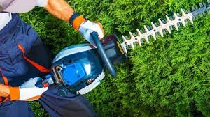 the best hedge trimmers reviewed