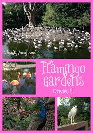 Flamingo Gardens Davie Florida