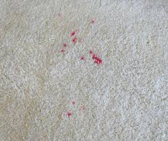how to clean wax from carpets my