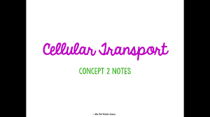 Unit 2 Cells Concept 2 Notes