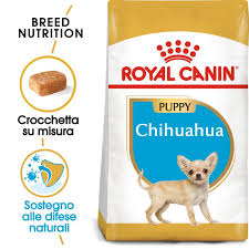 Cuccioli da 4 a 5 mesi riceveranno 250 grammi al giorno suddivisi in 3 pasti giornalieri. Royal Canin Chihuahua Puppy Fino Al 70 Di Sconto Sui Saldi Estivi