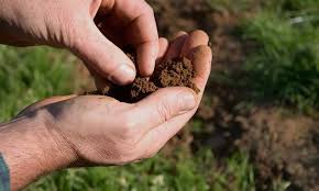 Resultado de imagen para textura del suelo