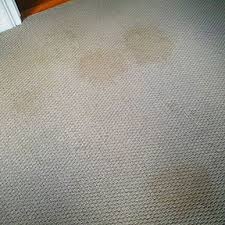 carpet cleaning leicester local