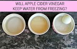 will-apple-cider-vinegar-keep-my-chickens-water-from-freezing