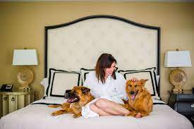 the most pet friendly hotel in every