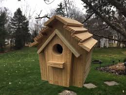 Diy Birdhouse Conservancy For