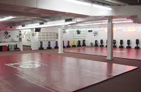 martial arts mats folding floor