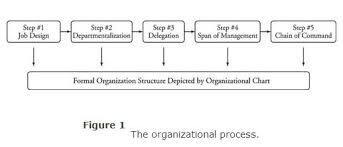The Organizational Process