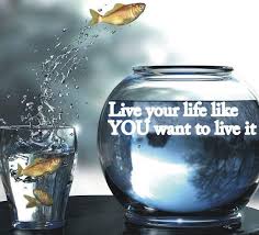 Fishbowl | Live your life, Stemless wine glass, Wine glass