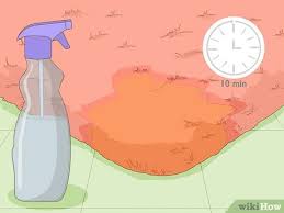 remove urine smell from carpet