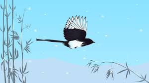 magpie flying past bamboo in snowy