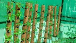 Organic Green Vertical Pvc Pipe Garden