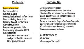 pseudomonas aeruginosa flashcards quizlet