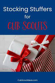 cub scout ideas