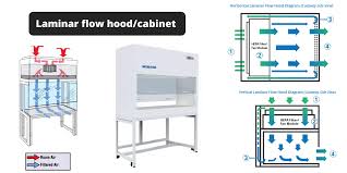 laminar flow hood cabinet definition