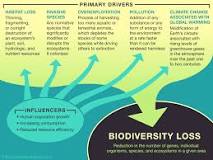 Image result for what is the disadvantage of reducing biodiversity course hero