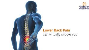 Human muscular anatomy back muscle anatomy chart. Pulled Back Muscle And Lower Back Pain Pulled Back Muscle Treatment