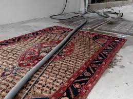 rug cleaning houston free same day